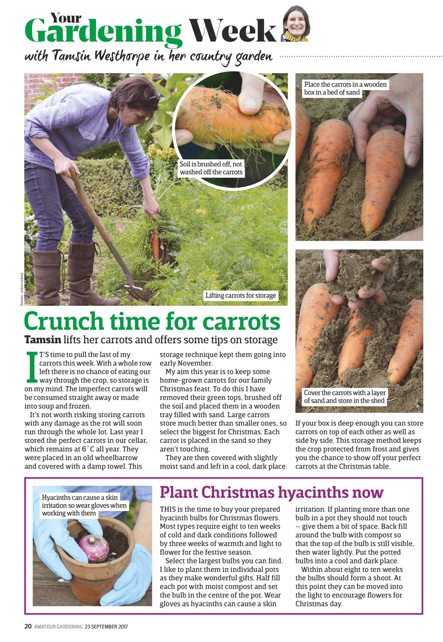 Amateur Gardening Preview Pages