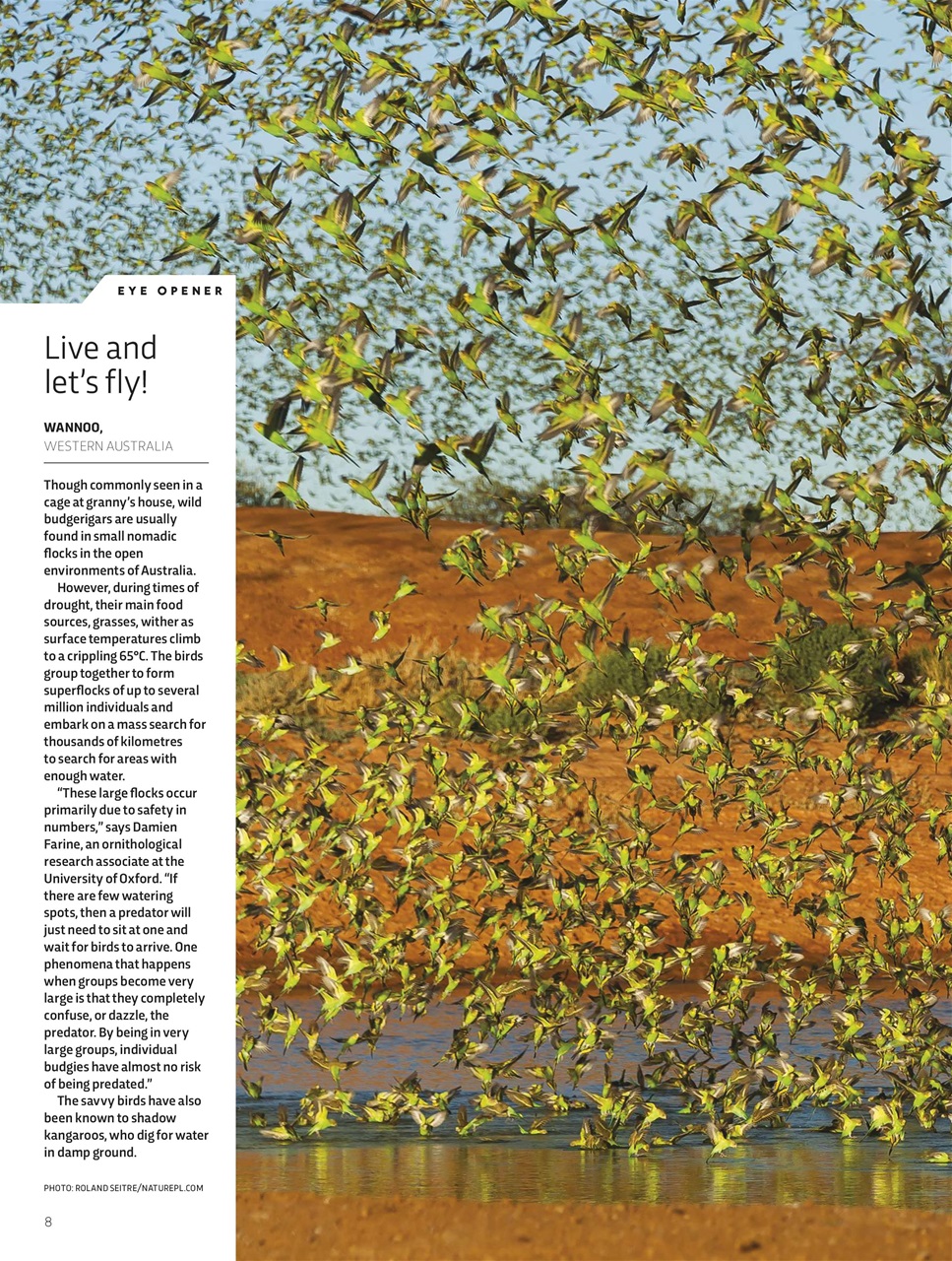 BBC Science Focus Magazine Preview Pages