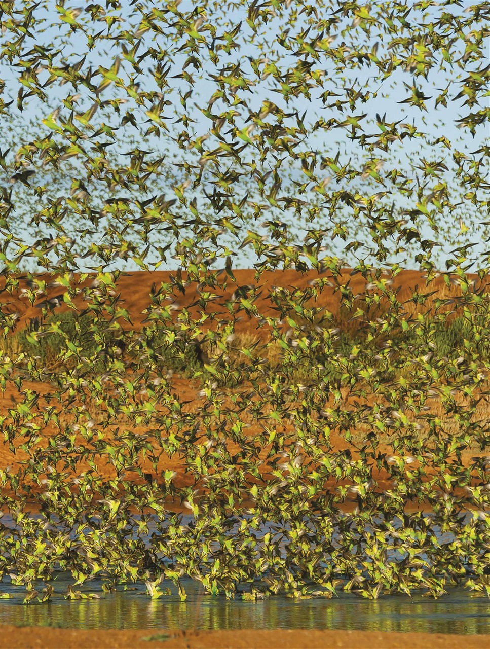 BBC Science Focus Magazine Preview Pages