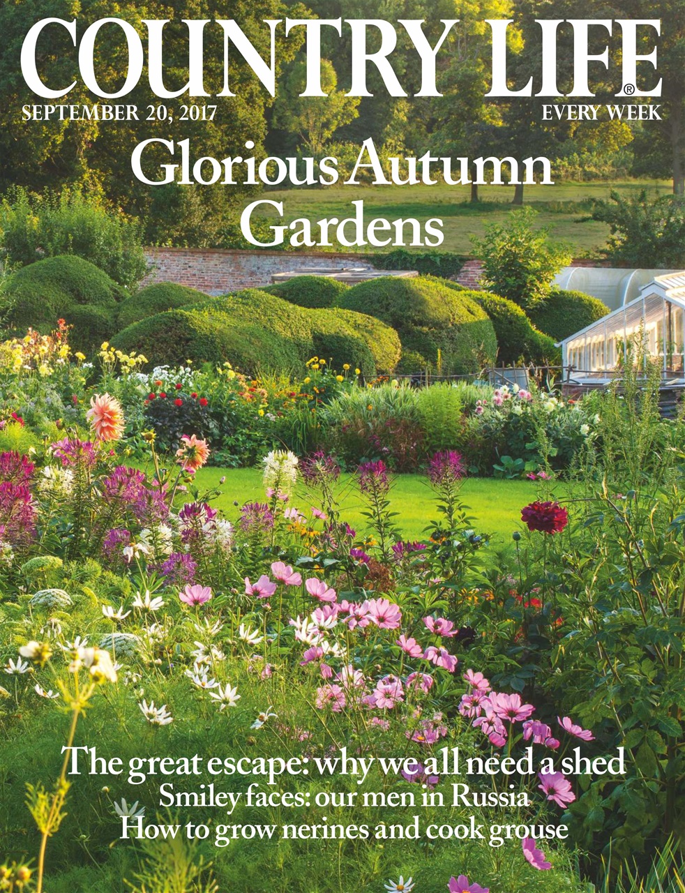 Country Life Preview Pages