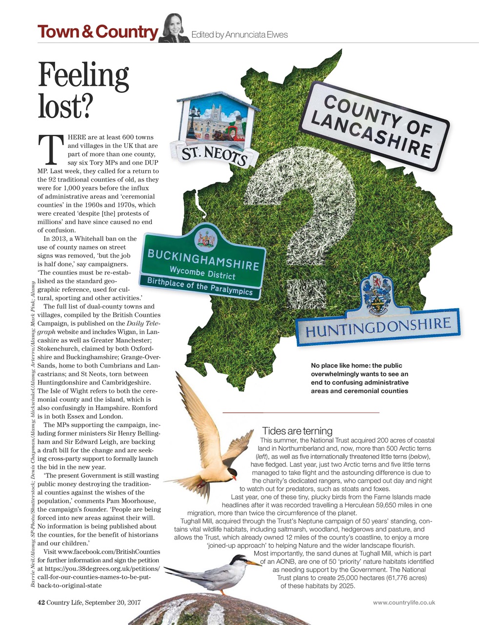 Country Life Preview Pages