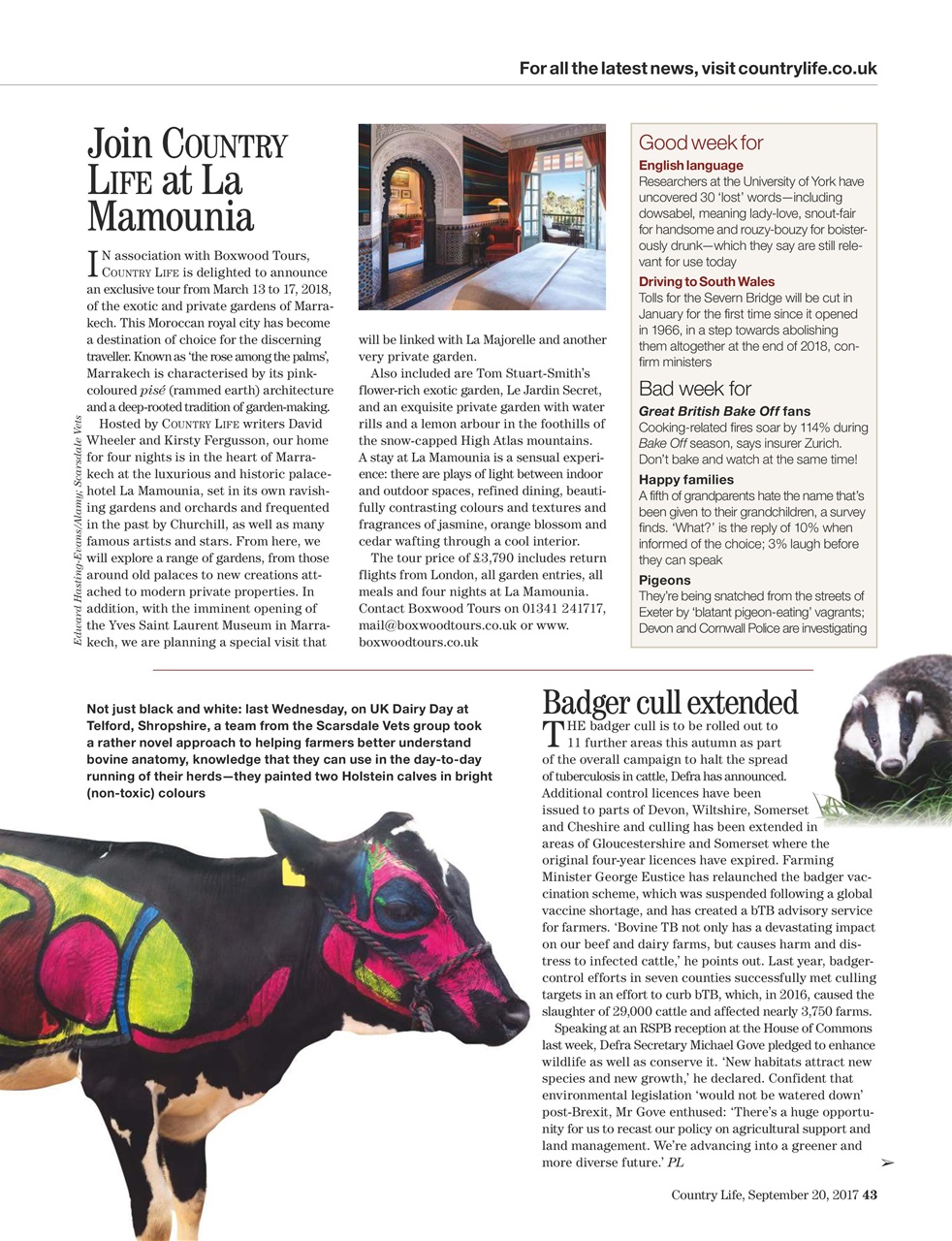 Country Life Preview Pages