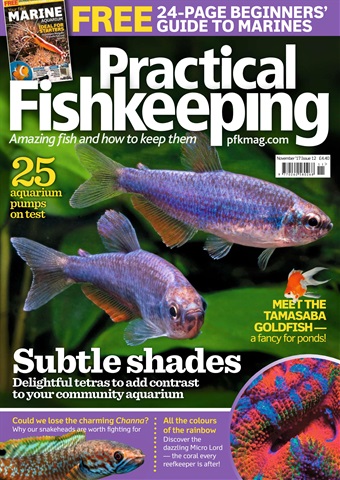 Practical Fishkeeping issue November 2017
