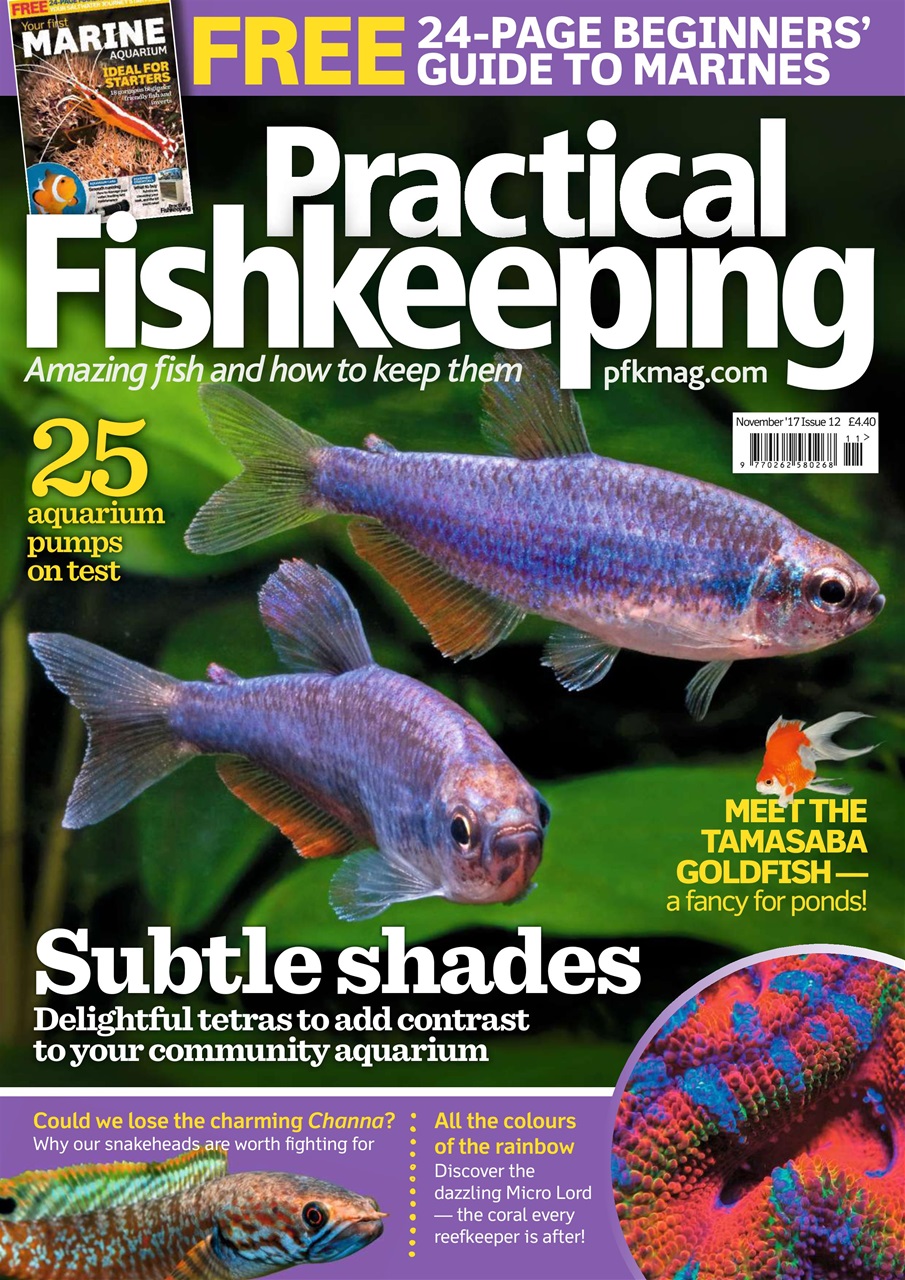 Practical Fishkeeping Preview Pages