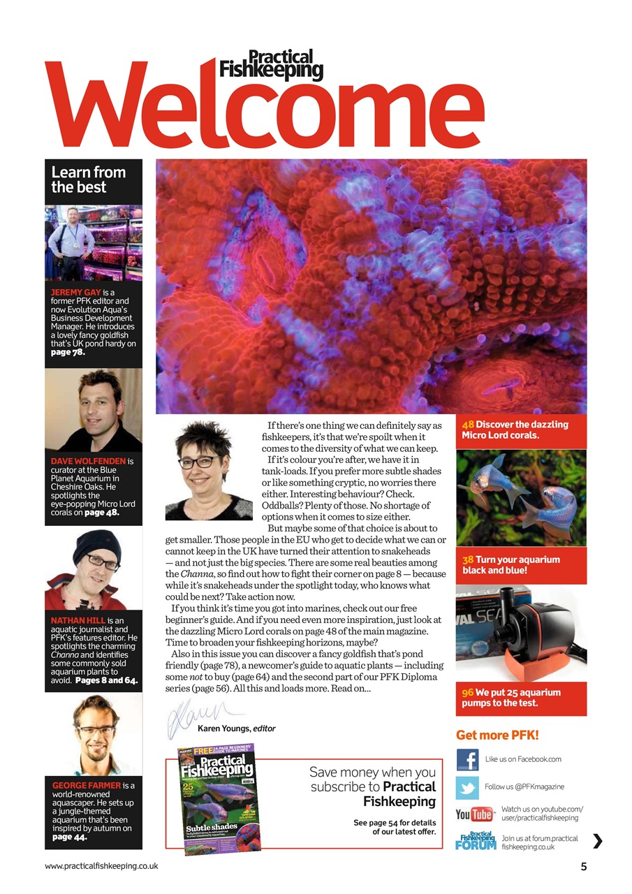 Practical Fishkeeping Preview Pages