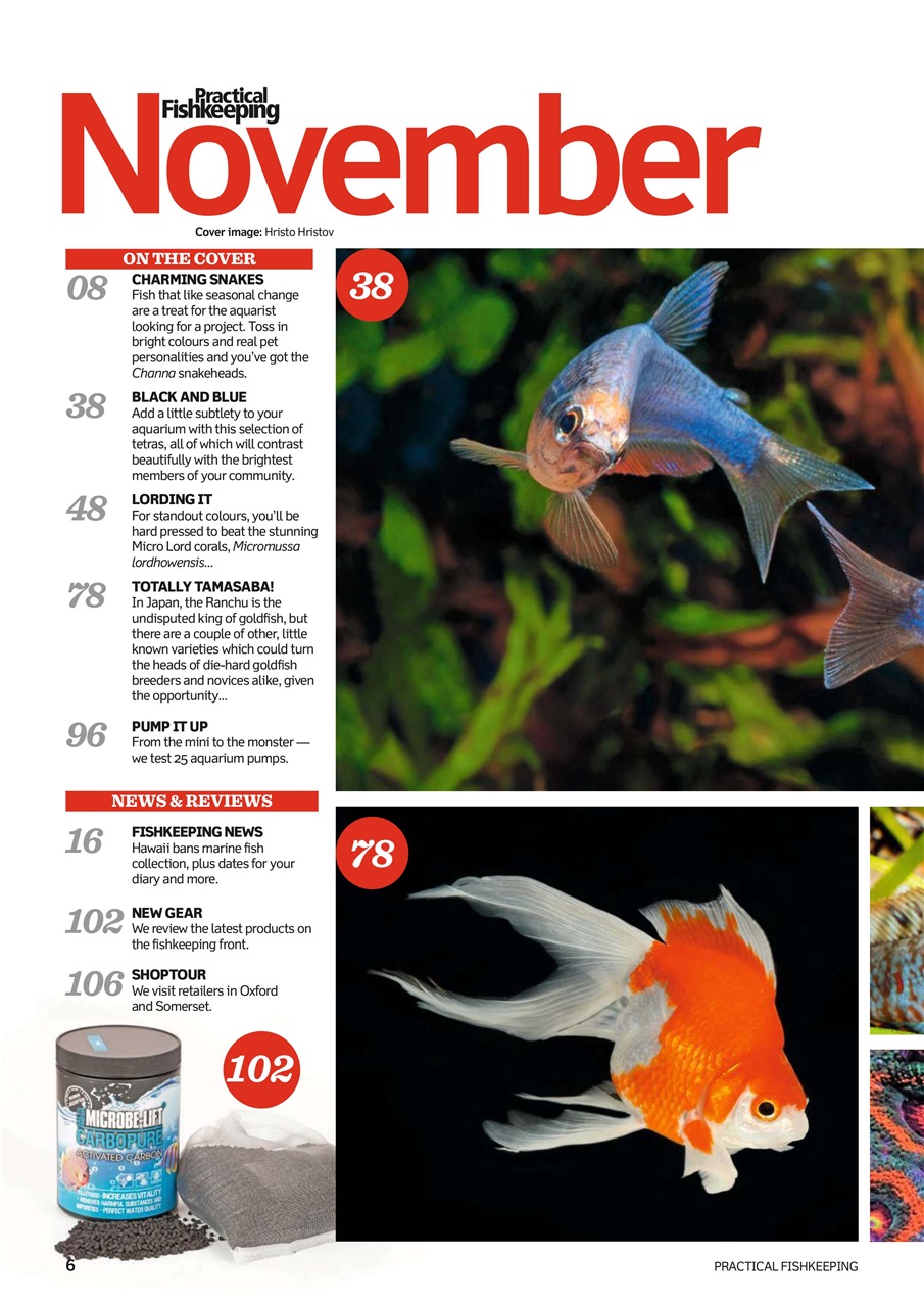 Practical Fishkeeping Preview Pages