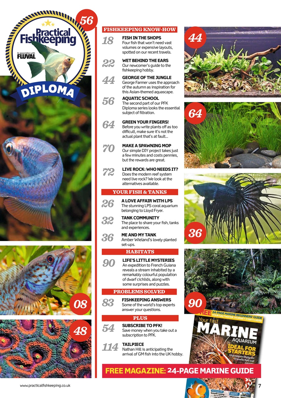 Practical Fishkeeping Preview Pages