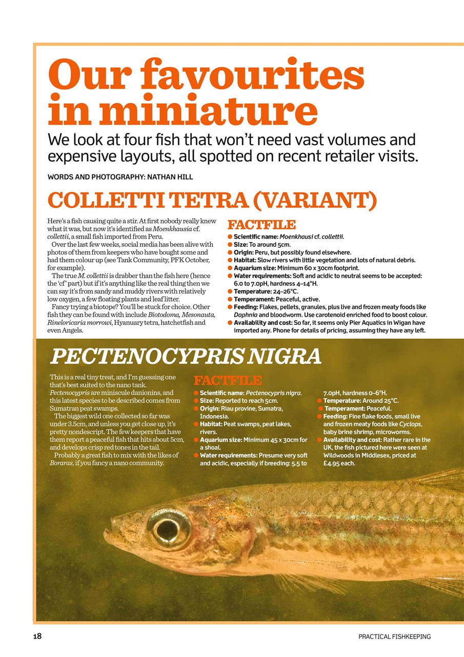 Practical Fishkeeping Preview Pages