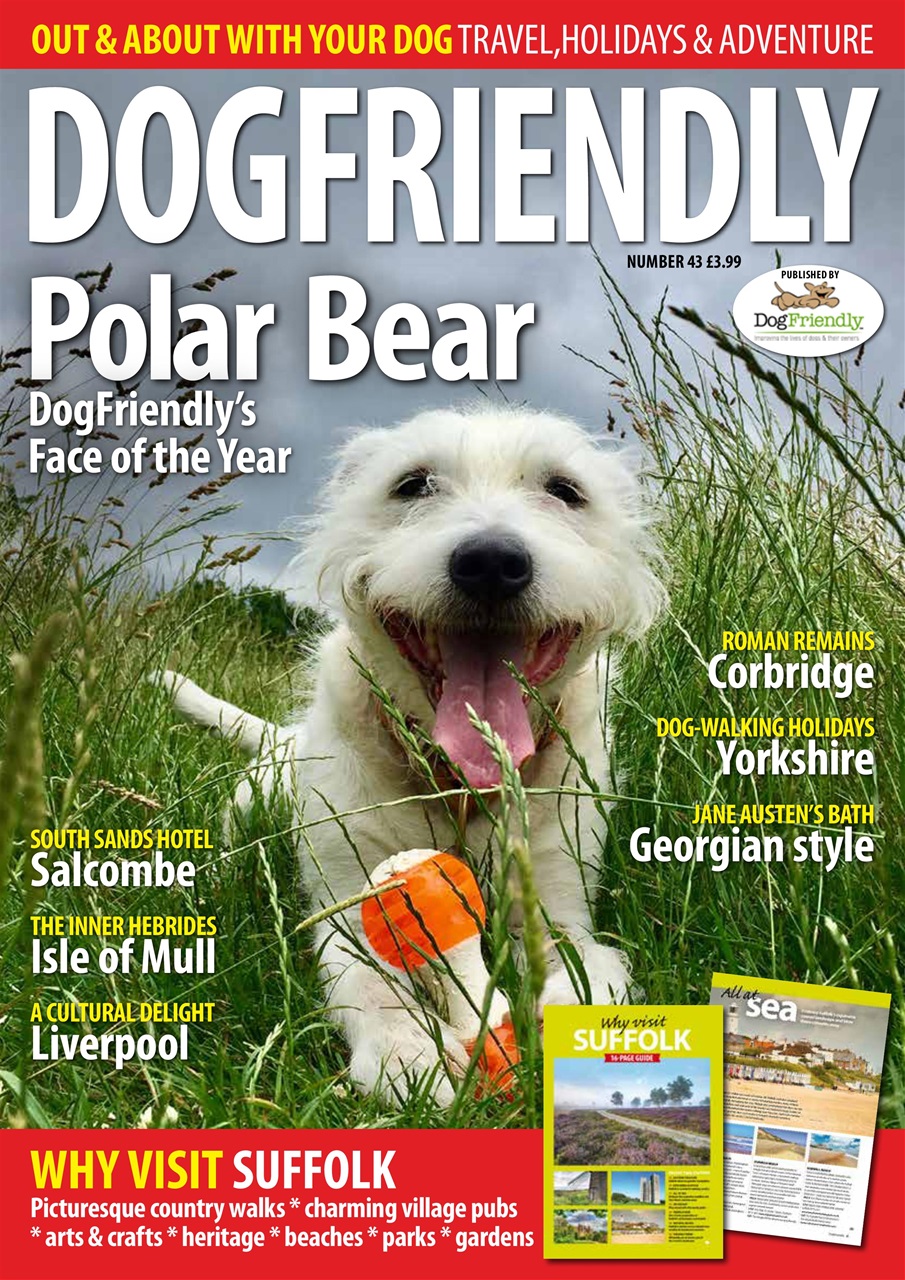 Dog Friendly Preview Pages