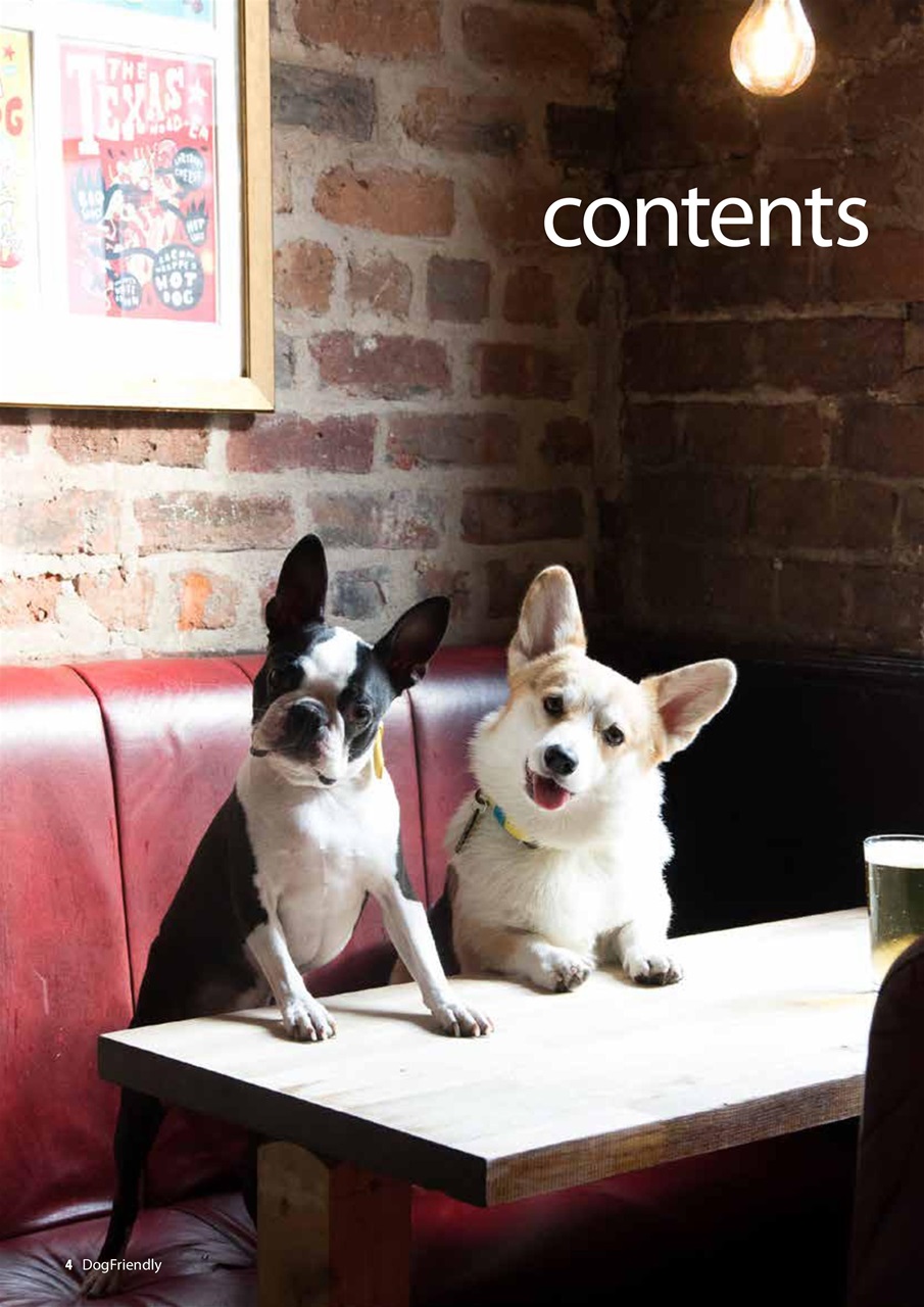 Dog Friendly Preview Pages