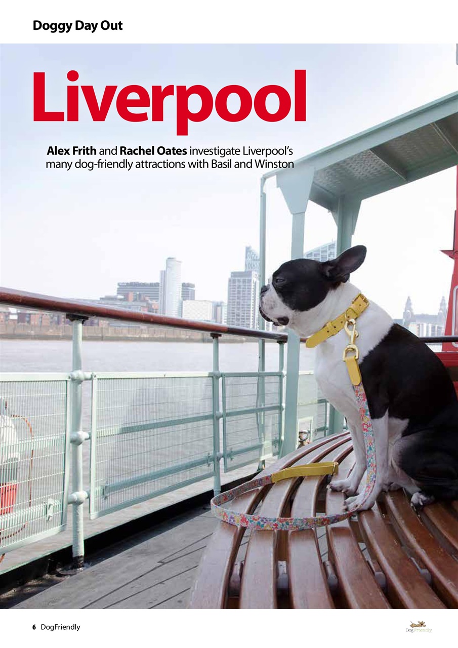 Dog Friendly Preview Pages