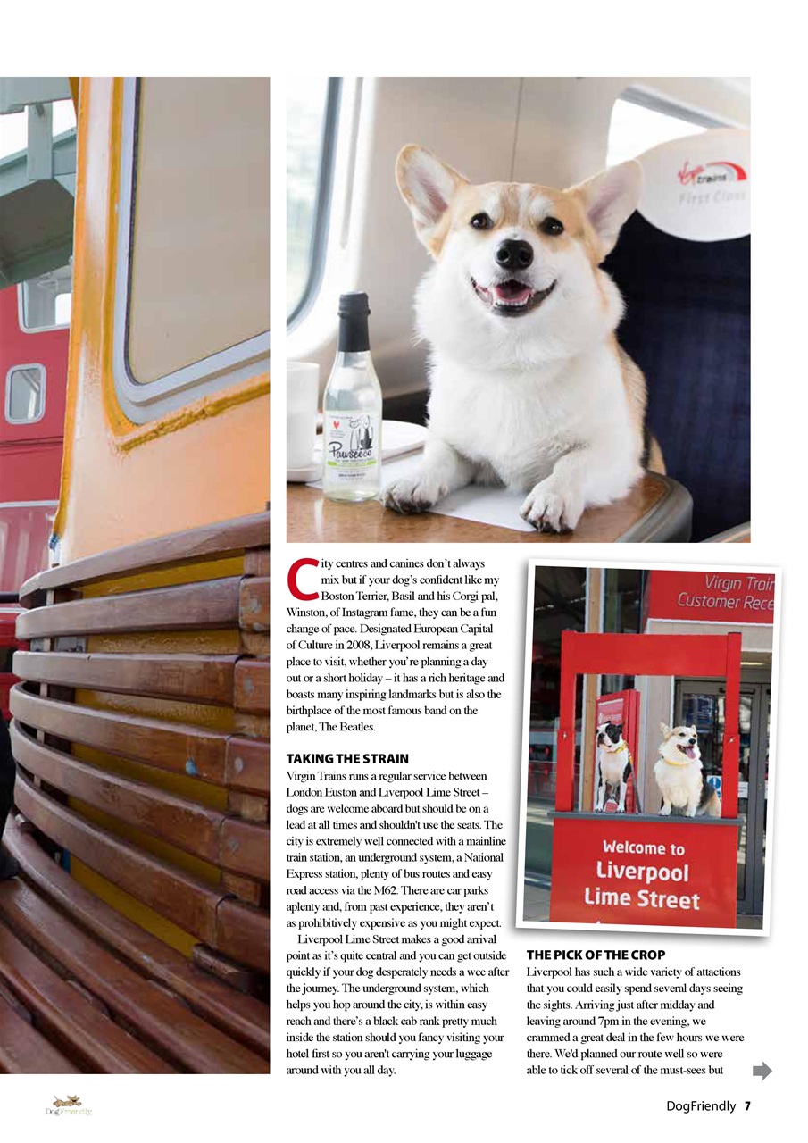 Dog Friendly Preview Pages