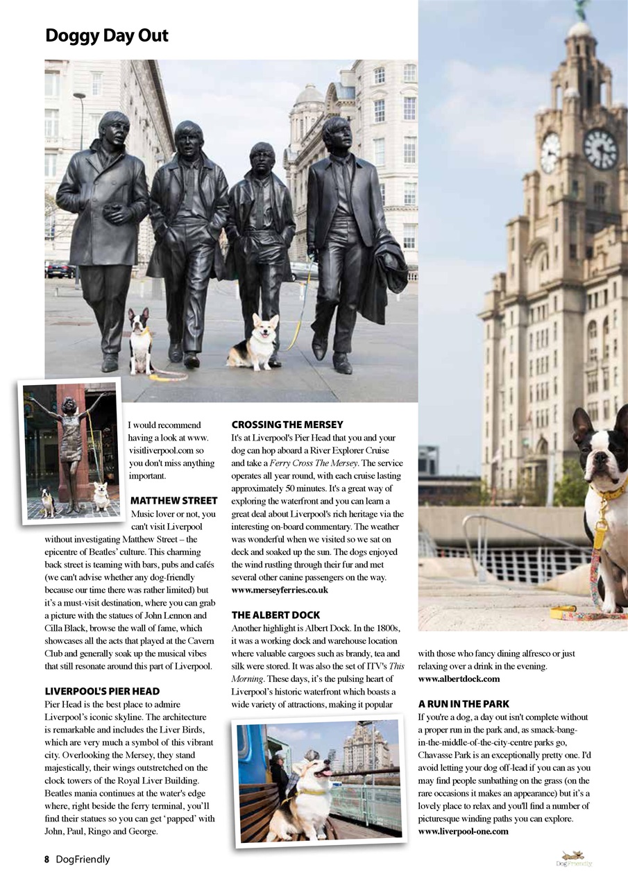 Dog Friendly Preview Pages