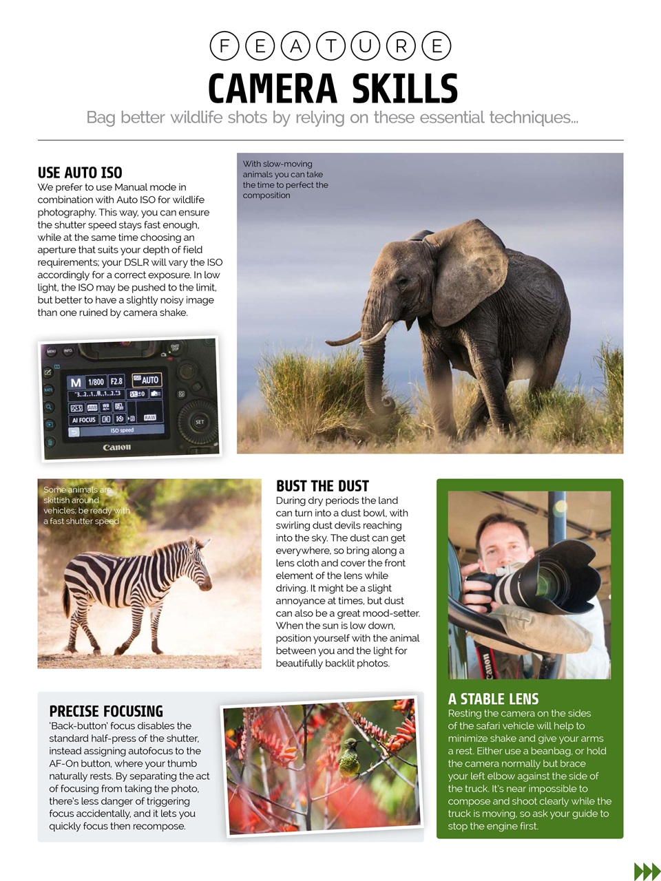 Photography Week Preview Pages