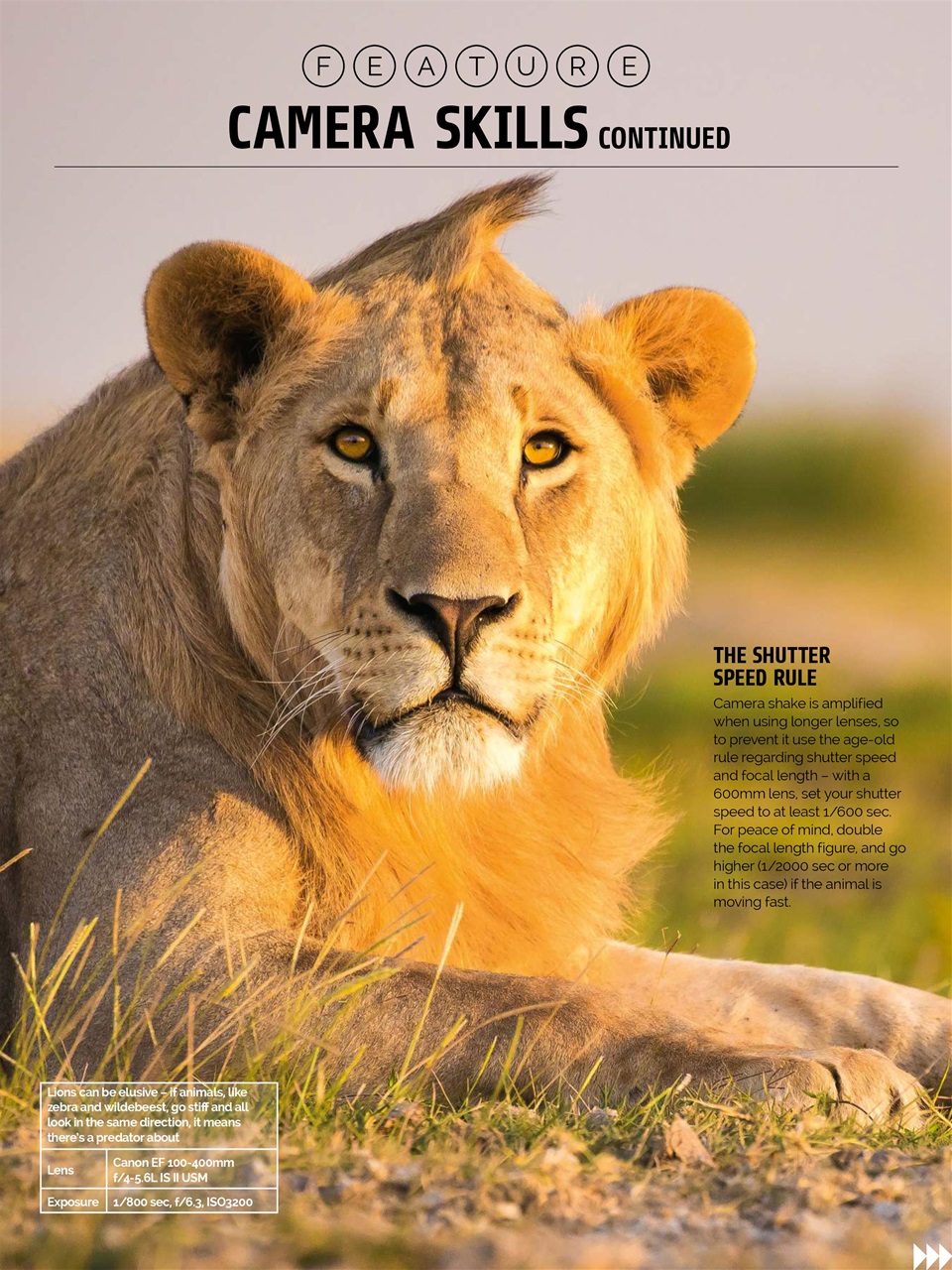 Photography Week Preview Pages