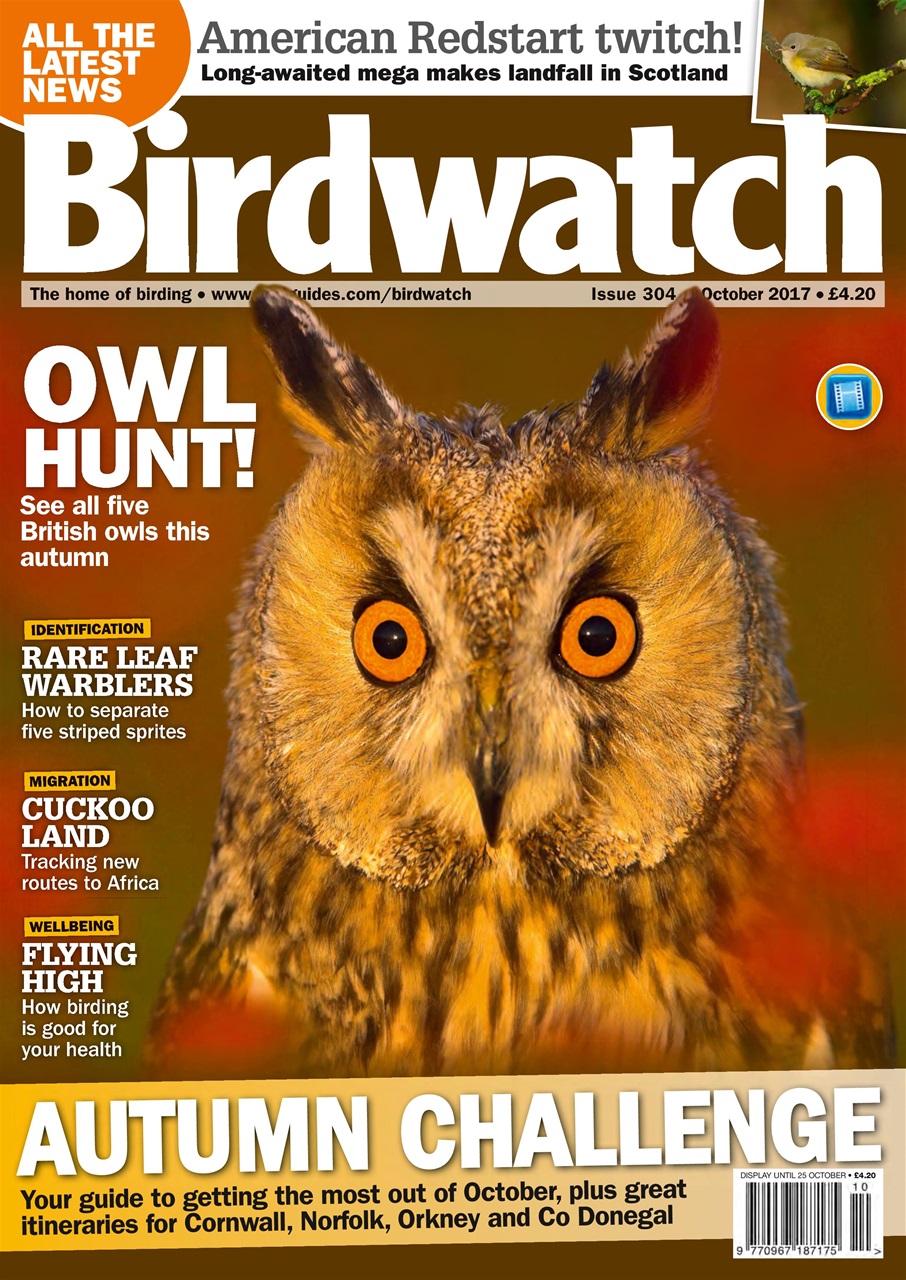Birdwatch Magazine Preview Pages