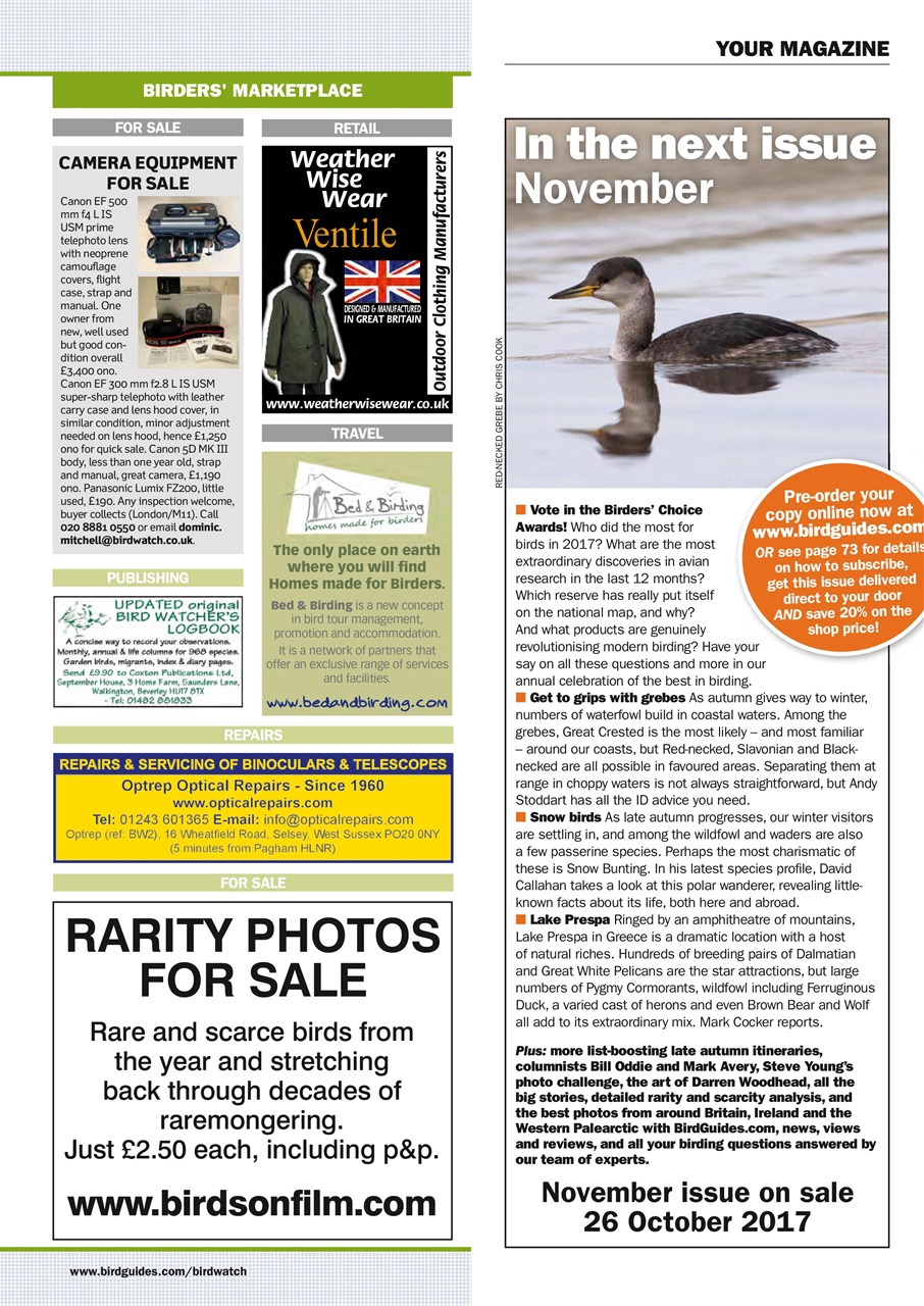 Birdwatch Magazine Preview Pages