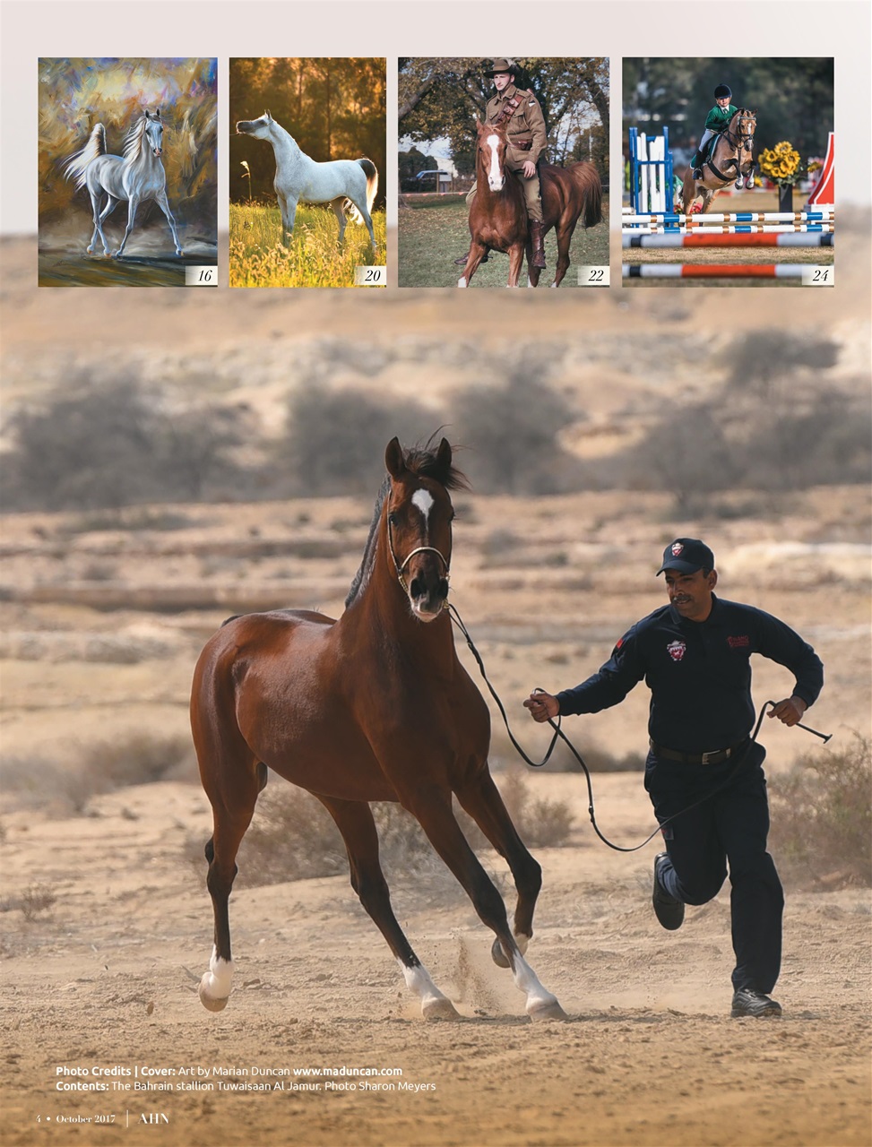 Australian Arabian Horse News Preview Pages