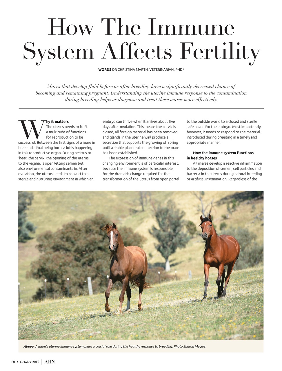 Australian Arabian Horse News Preview Pages