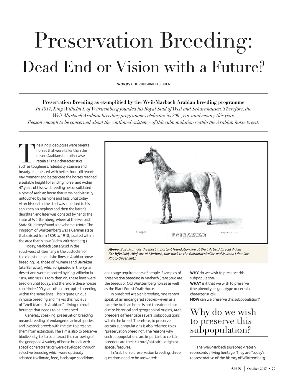 Australian Arabian Horse News Preview Pages