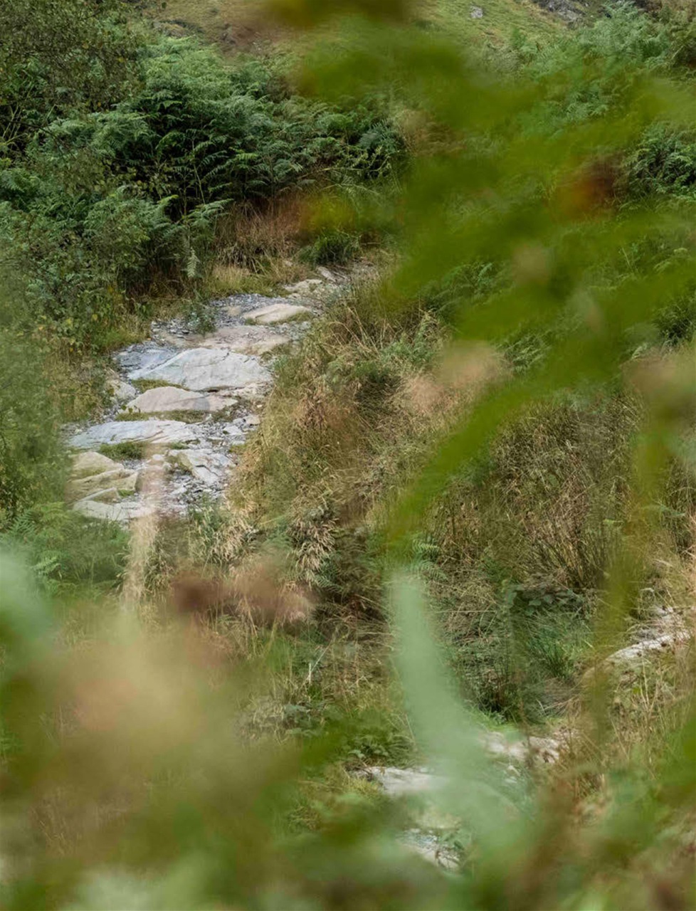 Singletrack Preview Pages