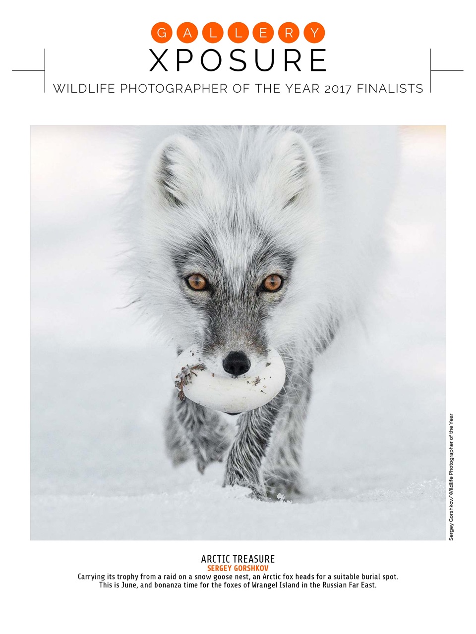 Photography Week Preview Pages