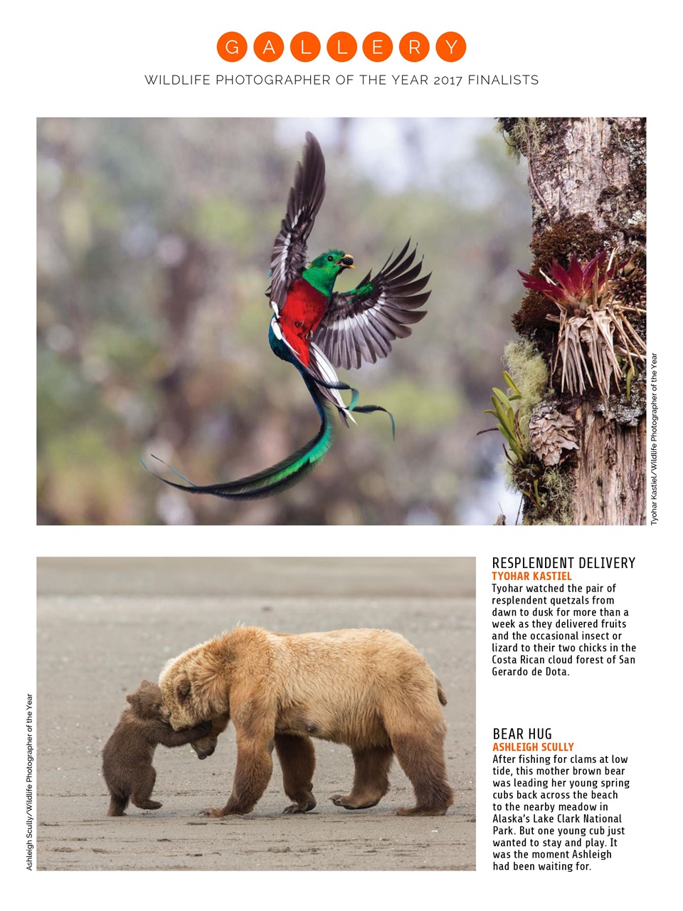 Photography Week Preview Pages