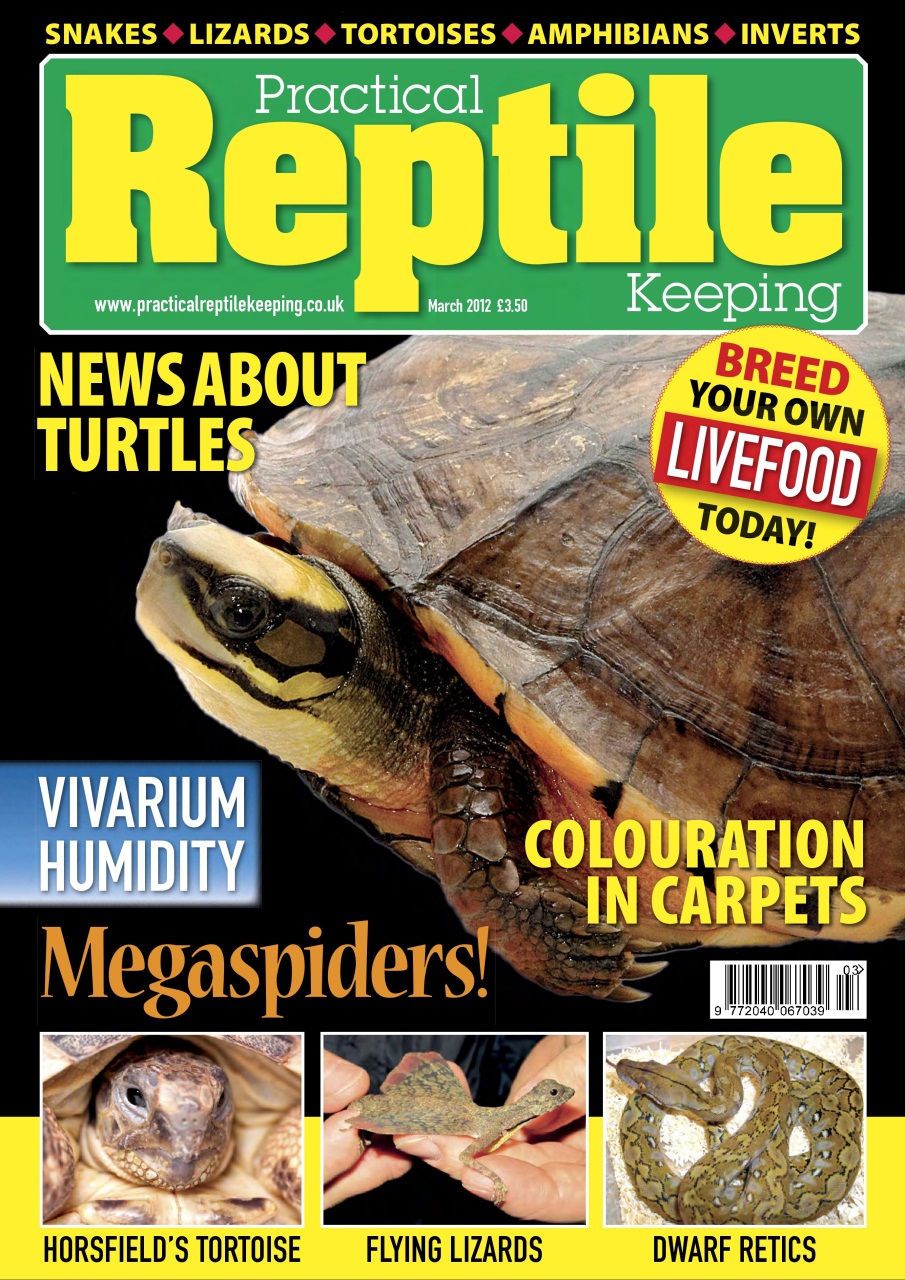 Practical Reptile Keeping Preview Pages