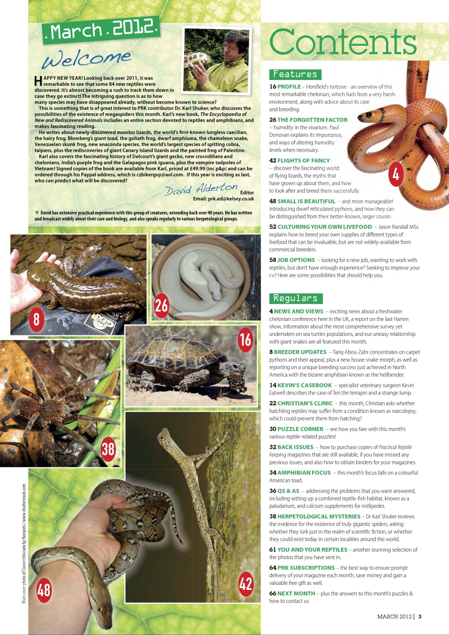 Practical Reptile Keeping Preview Pages