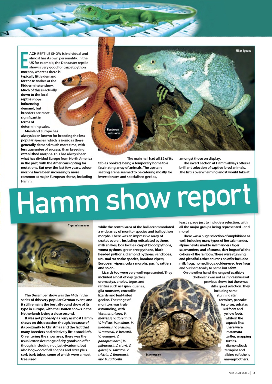 Practical Reptile Keeping Preview Pages