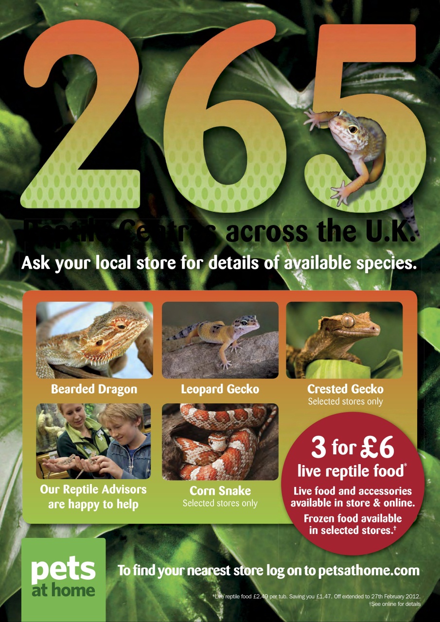 Practical Reptile Keeping Preview Pages