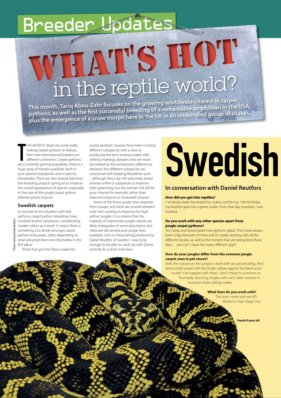 Practical Reptile Keeping Preview Pages