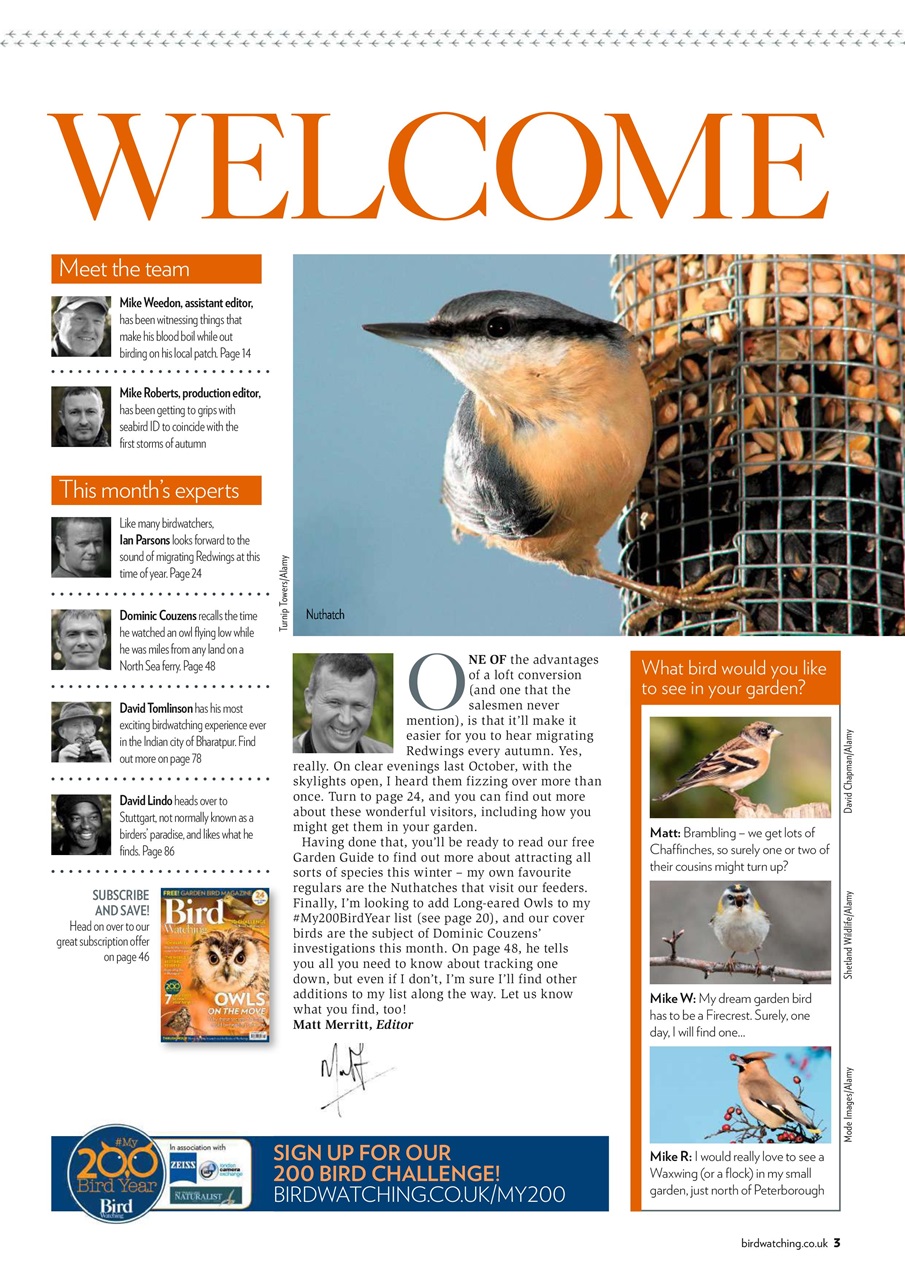 Bird Watching Preview Pages