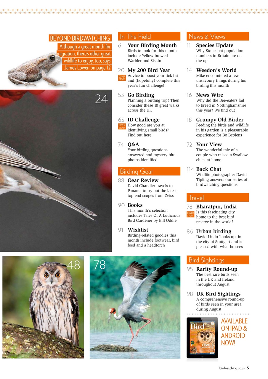 Bird Watching Preview Pages