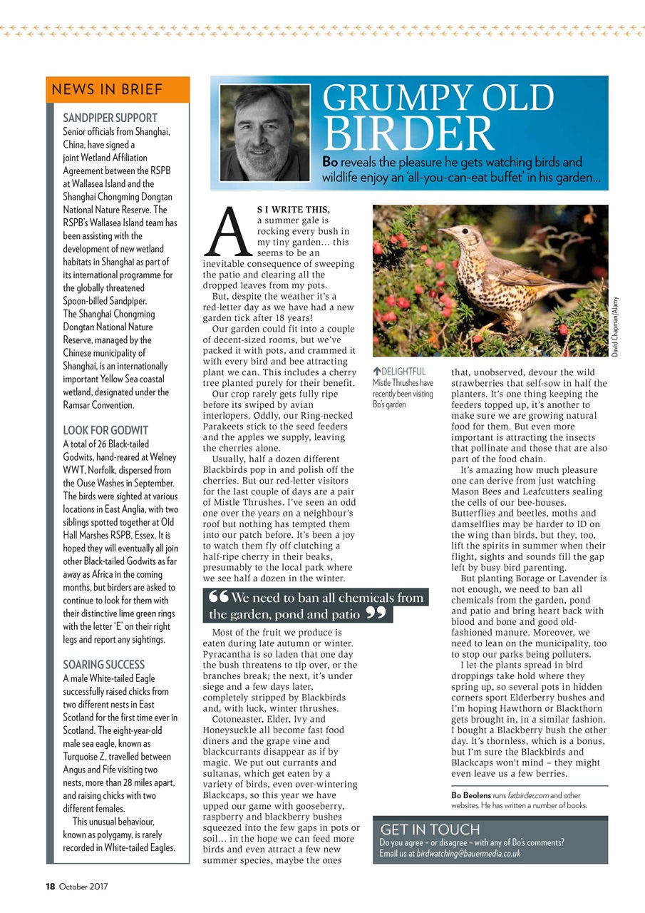 Bird Watching Preview Pages