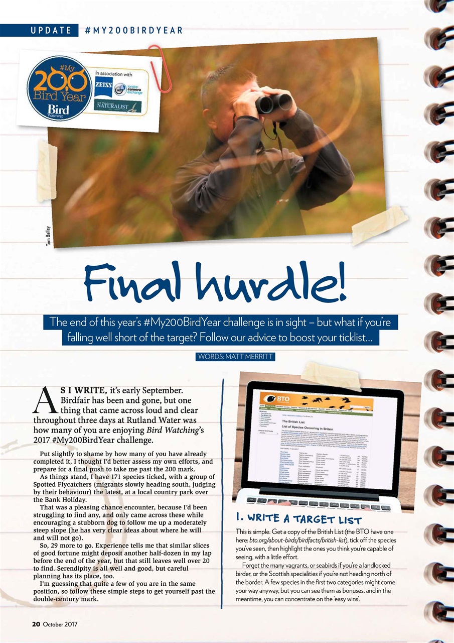 Bird Watching Preview Pages