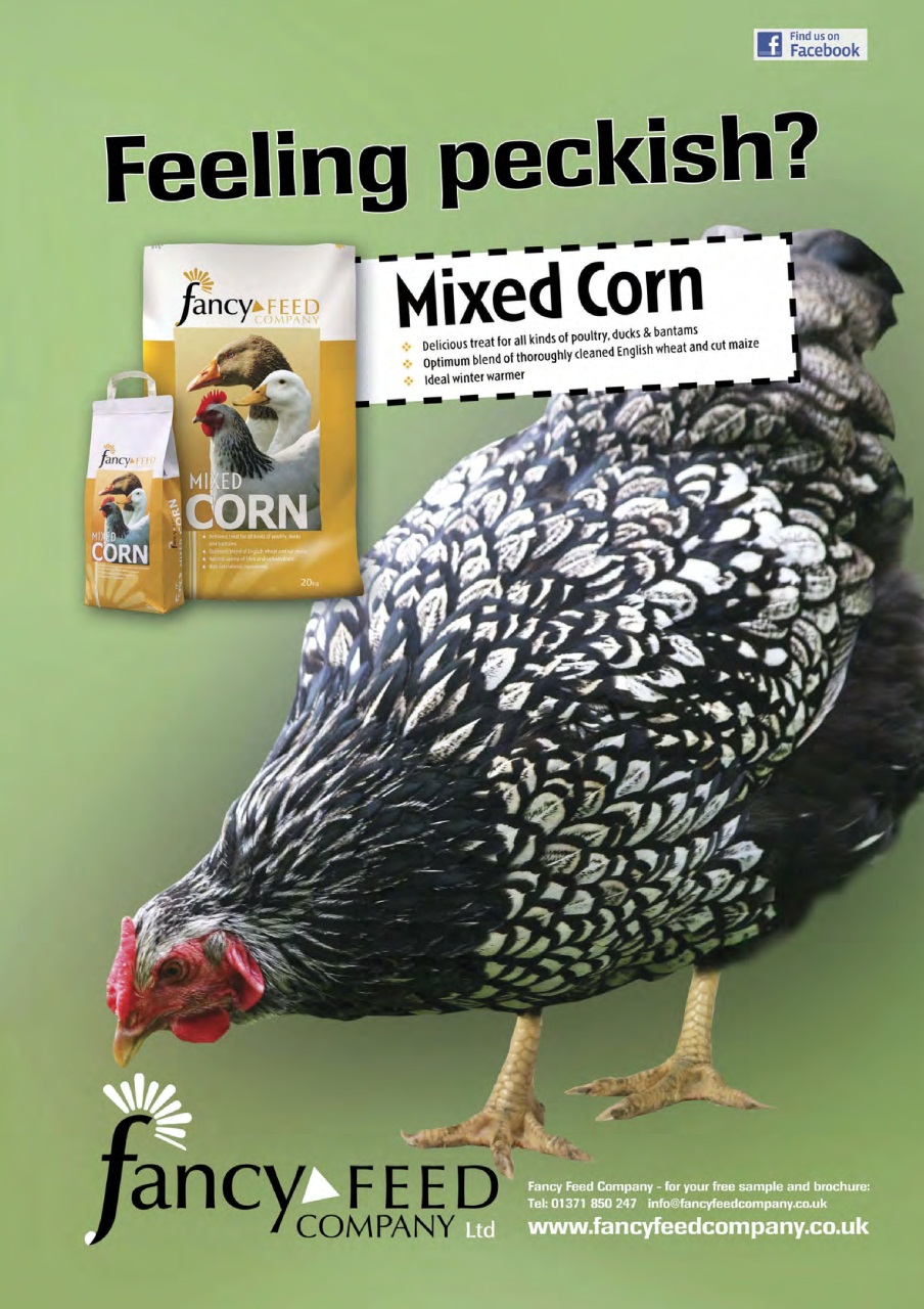 Practical Poultry Preview Pages