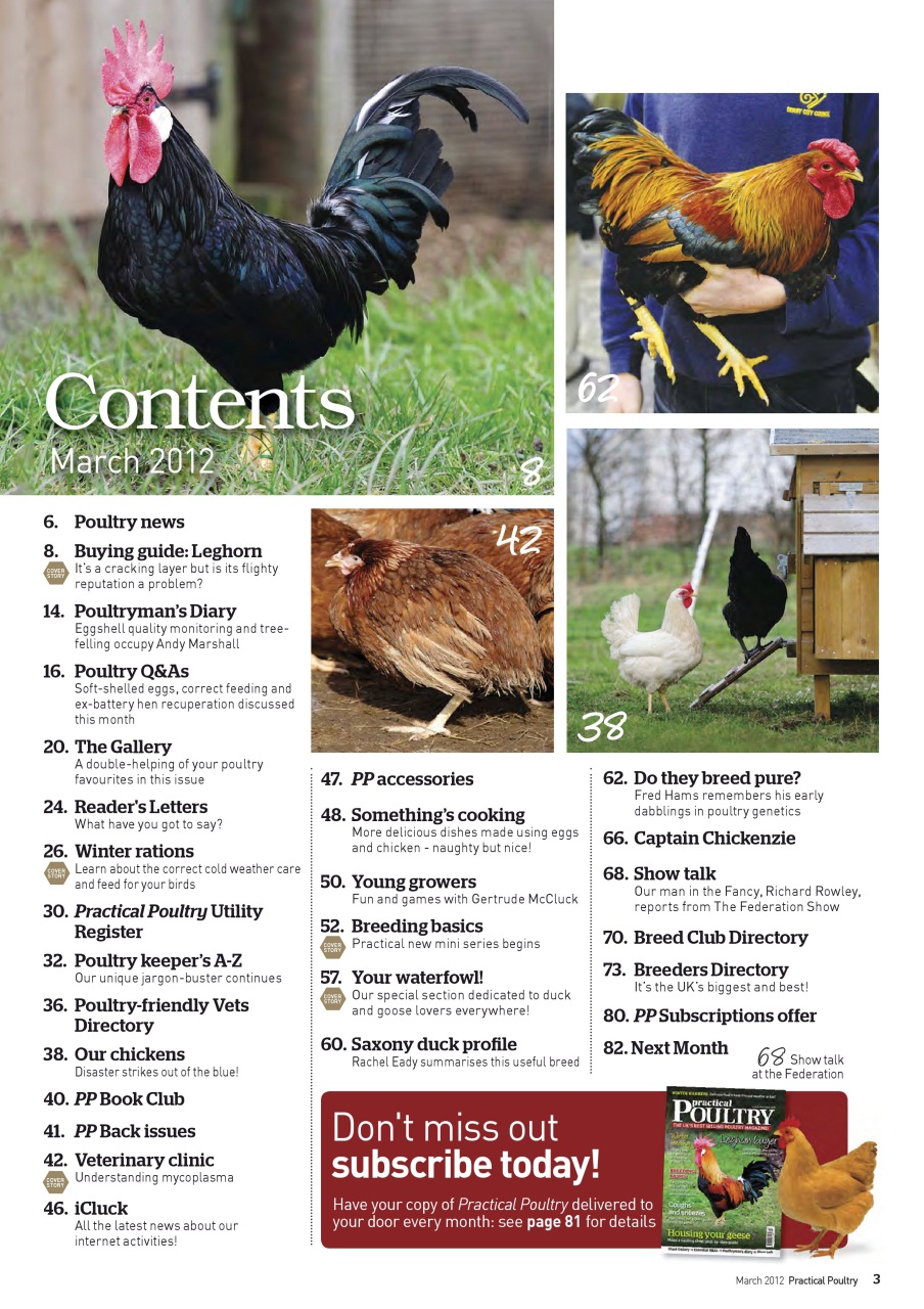 Practical Poultry Preview Pages