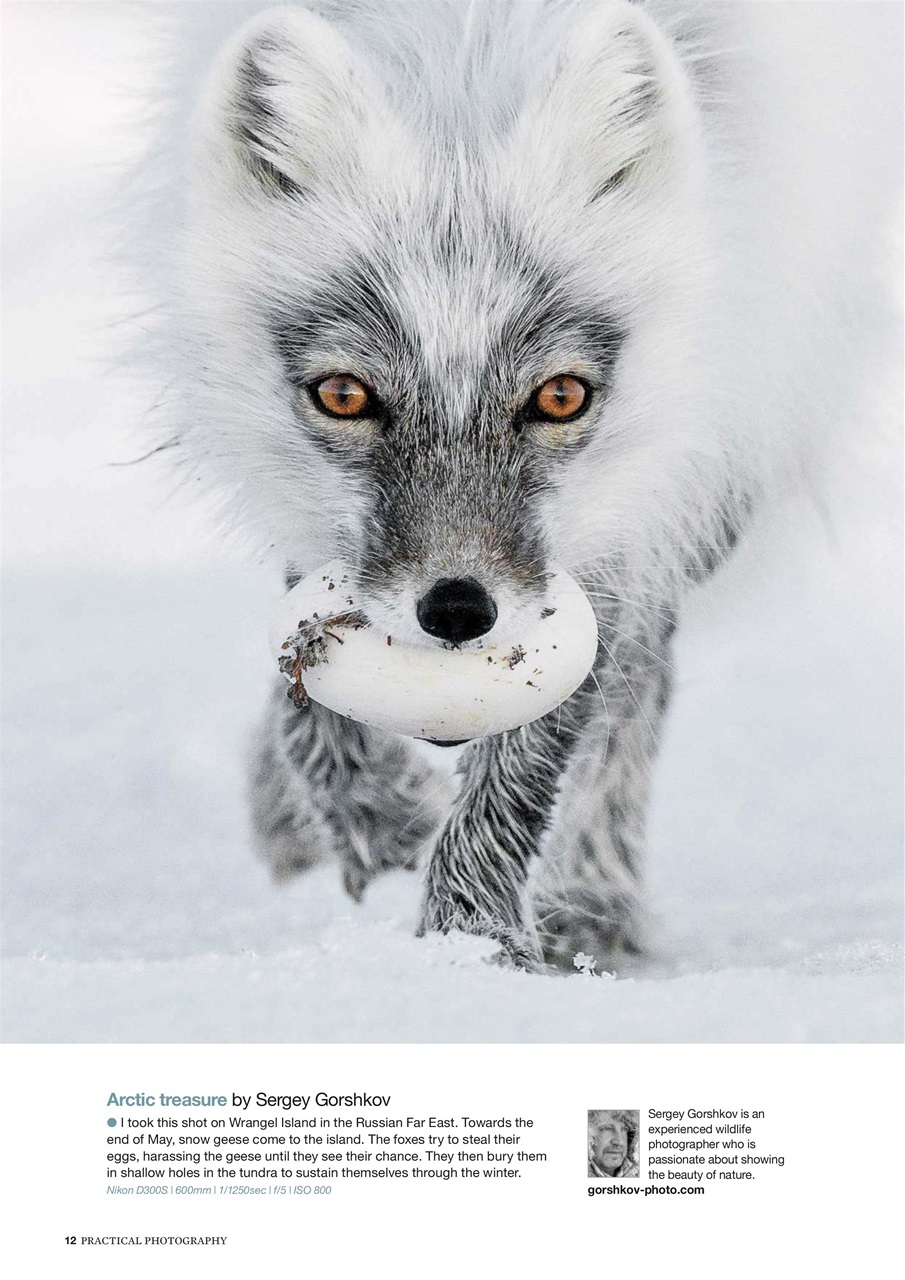 Practical Photography Preview Pages