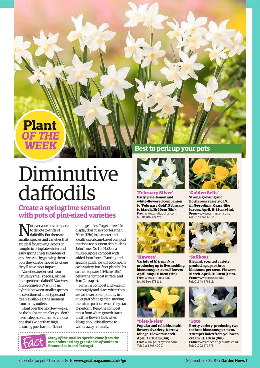 Garden News Preview Pages