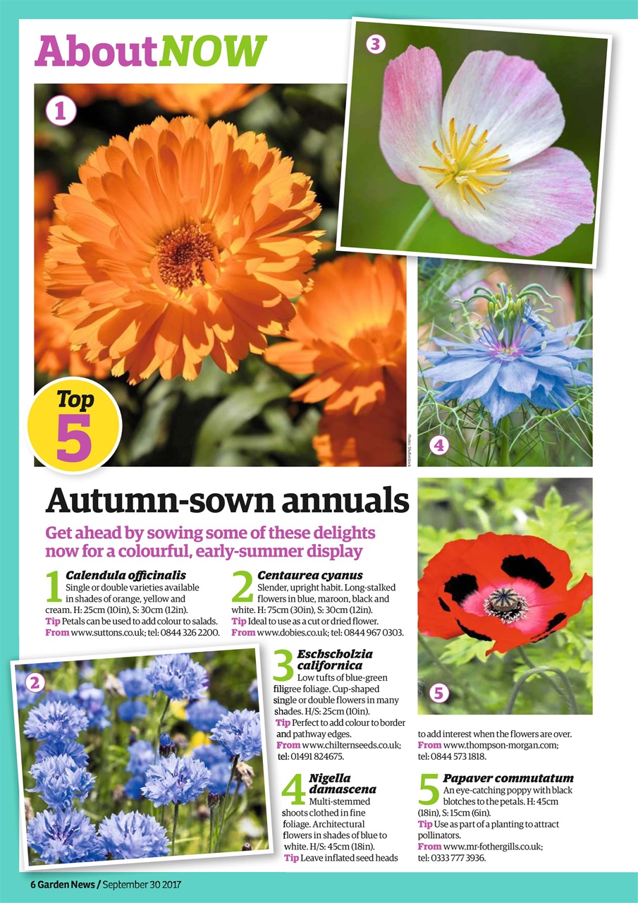 Garden News Preview Pages