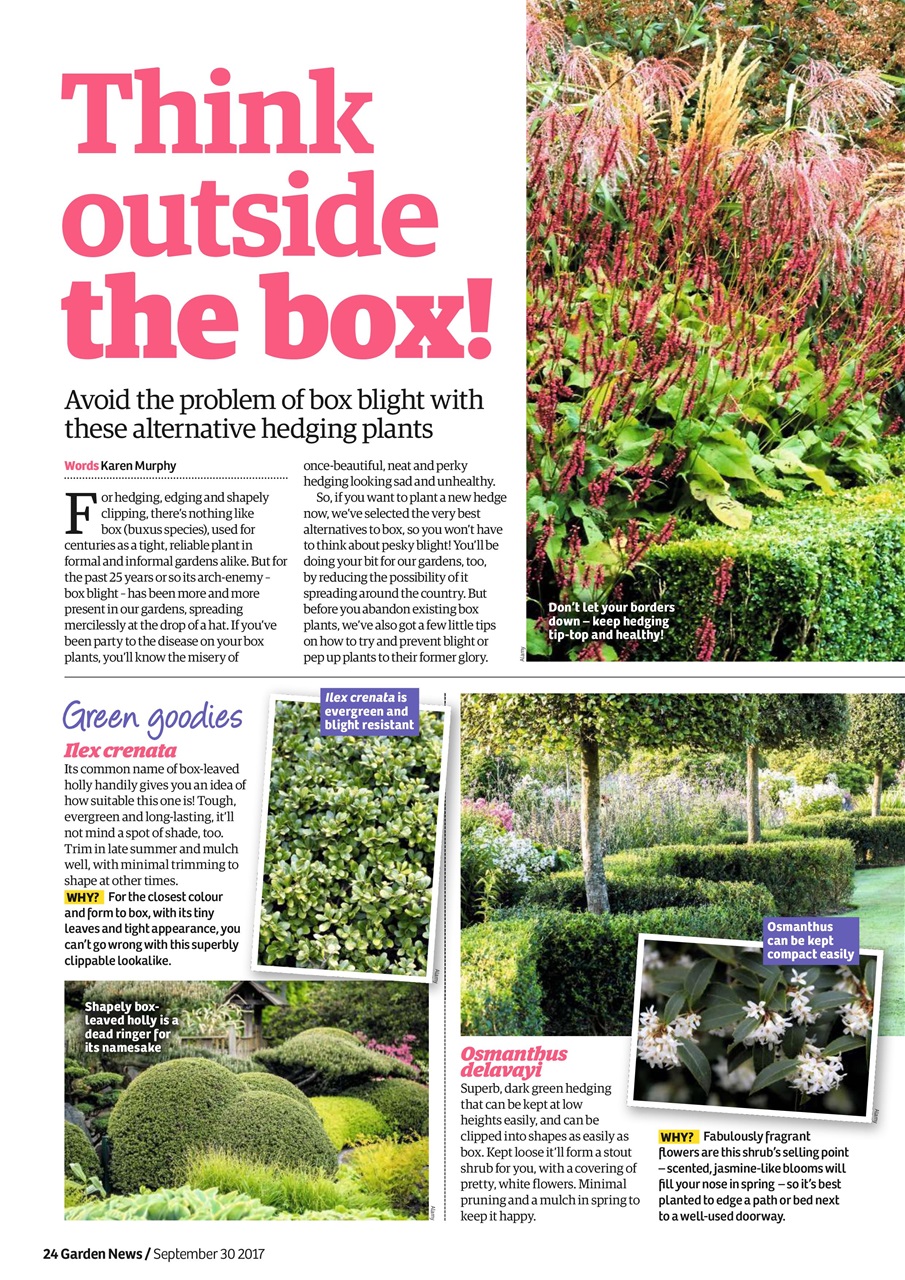 Garden News Preview Pages