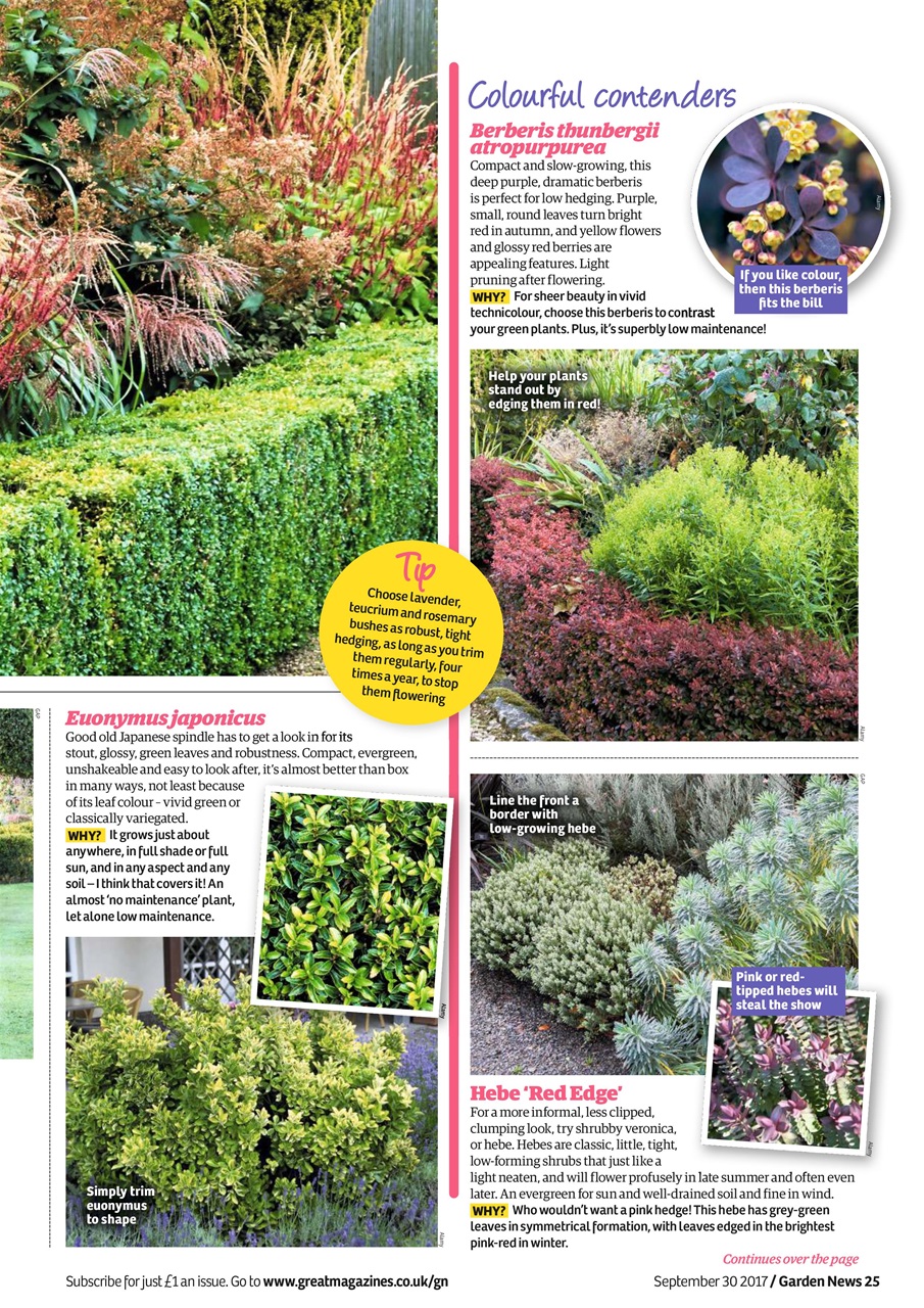 Garden News Preview Pages