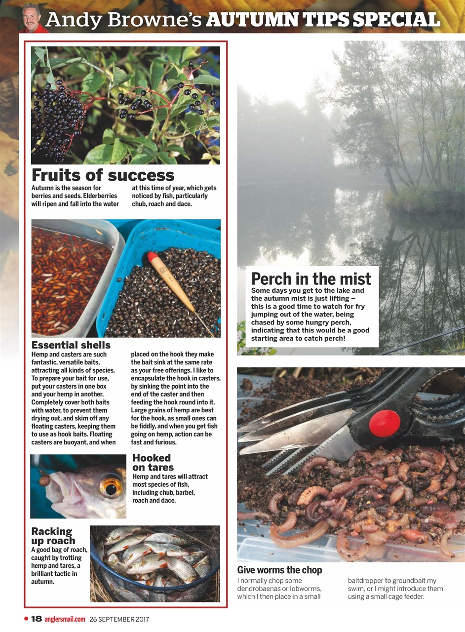 Anglers Mail Preview Pages