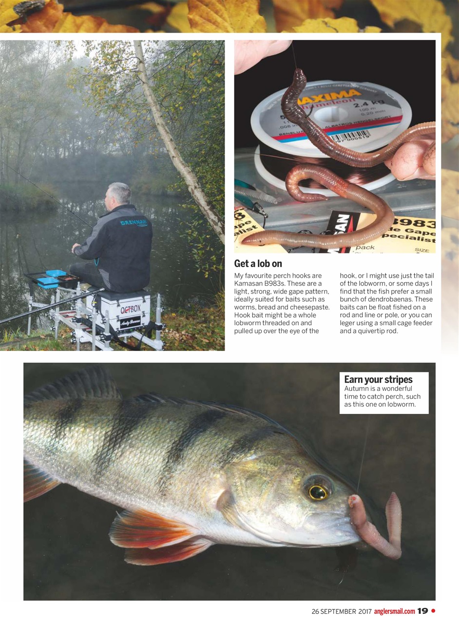 Anglers Mail Preview Pages