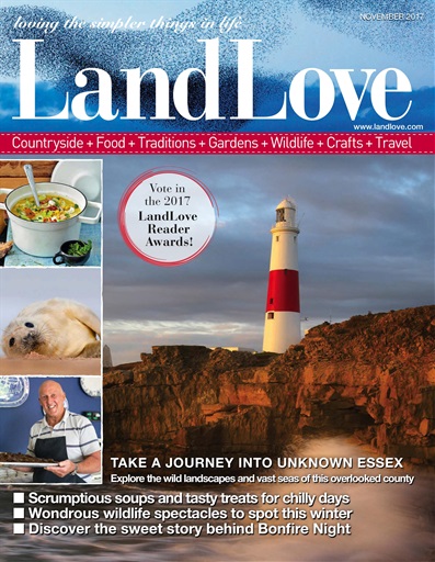 LandLove Magazine issue 