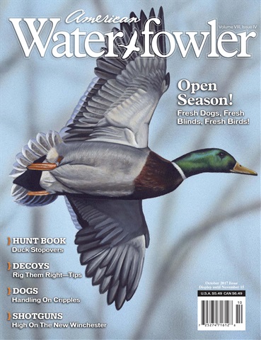 American Waterfowler issue Volume VIII, Issue IV