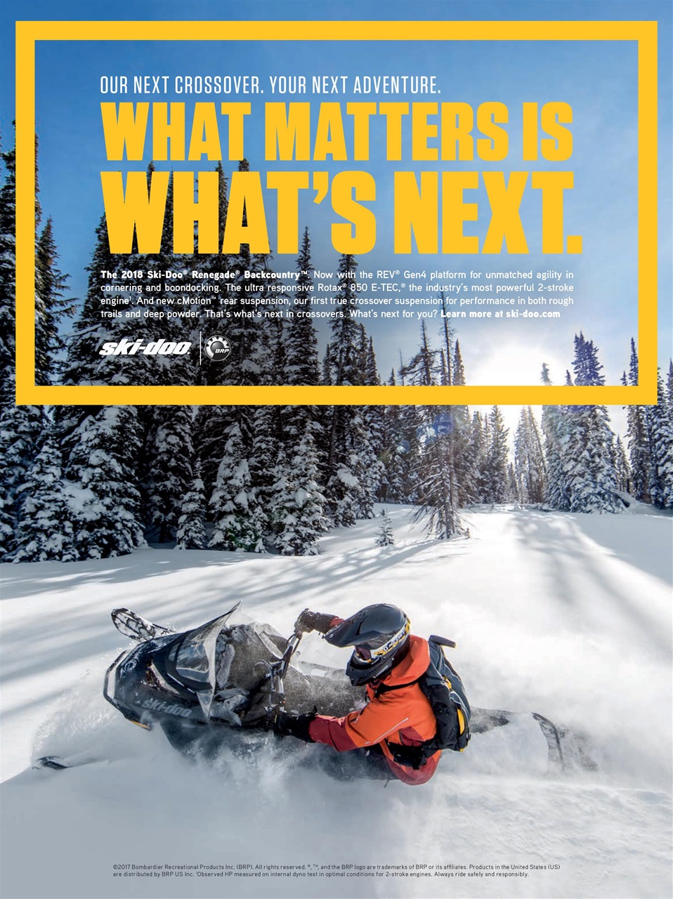 SnowGoer Preview Pages