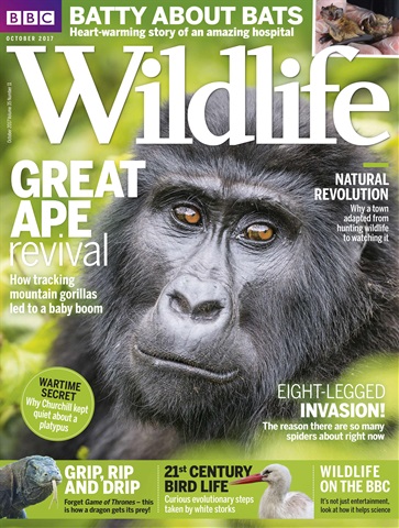 BBC Wildlife Magazine issue October 2017