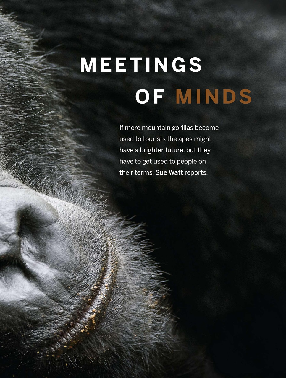 BBC Wildlife Magazine Preview Pages